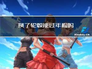 换了轮毂能过年检吗