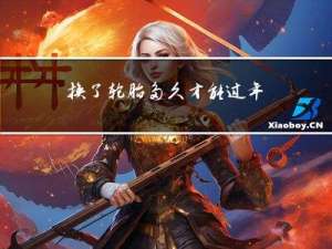 换了轮胎多久才能过年检