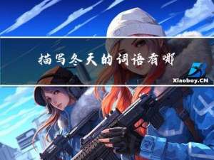 描写冬天的词语有哪