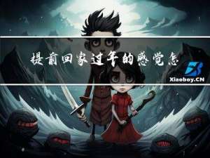 提前回家过年的感觉怎么写