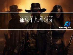播放十几号过年