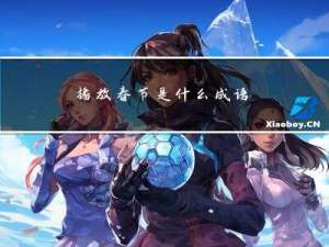 播放春节是什么成语