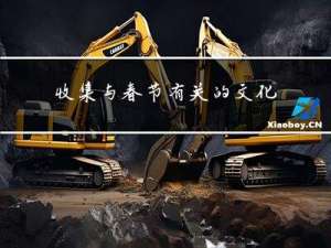 收集与春节有关的文化现象
