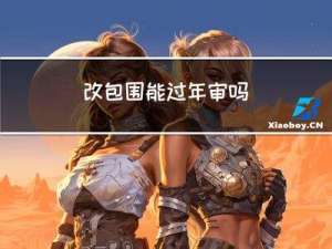 改包围能过年审吗