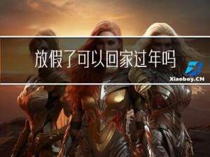 放假了可以回家过年吗