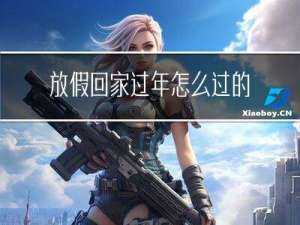 放假回家过年怎么过的