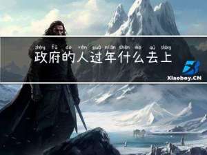政府的人过年什么去上班