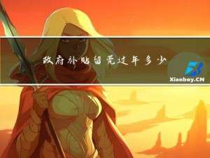 政府补贴留莞过年多少