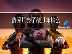 故障灯亮了能过年检么吗