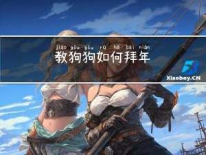 教狗狗如何拜年