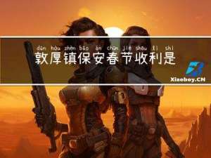 敦厚镇保安春节收利是