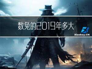 数兔的2019年多大年龄