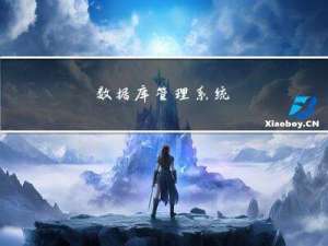 数据库管理系统
