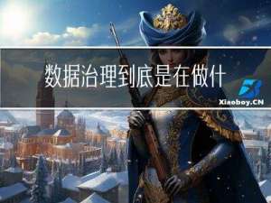 数据治理到底是在做什么
