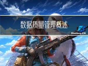 数据质量管理概述