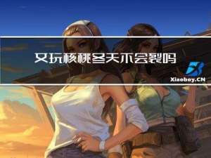 文玩核桃冬天不会裂吗