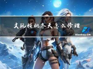 文玩核桃冬天怎么修理