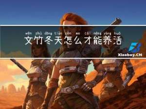 文竹冬天怎么才能养活