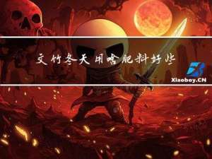 文竹冬天用啥肥料好些