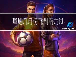 斑鸠几月份飞到南方过年