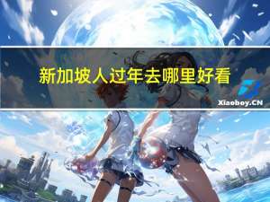 新加坡人过年去哪里好看
