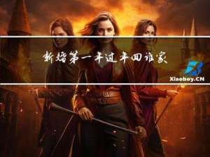新婚第一年过年回谁家