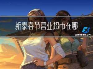 新泰春节营业超市在哪