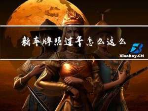 新车牌照过年怎么这么慢