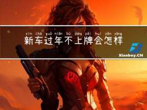 新车过年不上牌会怎样办