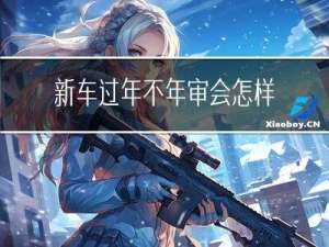 新车过年不年审会怎样罚款