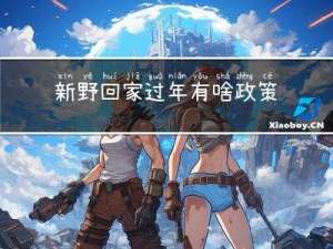 新野回家过年有啥政策没