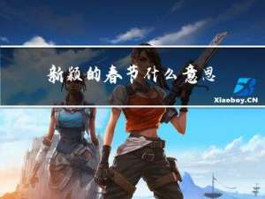 新颖的春节什么意思
