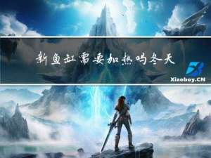 新鱼缸需要加热吗冬天