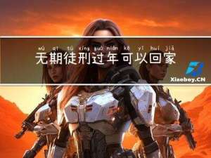 无期徒刑过年可以回家么