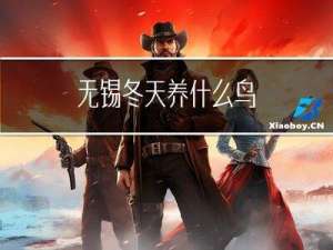 无锡冬天养什么鸟