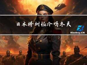 日本榉树怕冷吗冬天