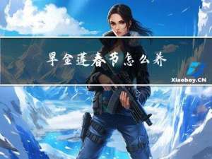 旱金莲春节怎么养