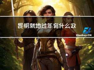 昆明就地过年有什么政策