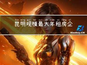 昆明规模最大年租房企业