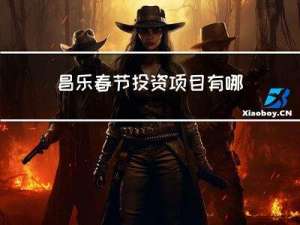 昌乐春节投资项目有哪些