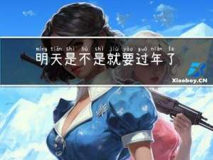 明天是不是就要过年了日记