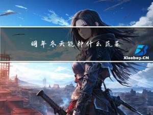 明年冬天能种什么蔬菜