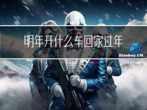 明年开什么车回家过年