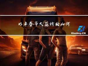 明年春节大蒜价格如何查询