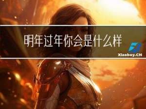 明年过年你会是什么样子