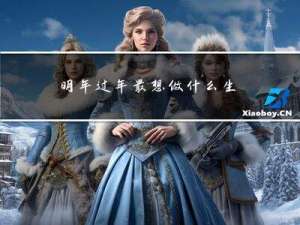 明年过年最想做什么生意