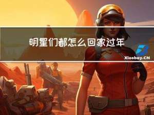 明星们都怎么回家过年的