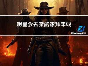 明星会去亲戚家拜年吗小说