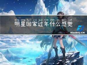 明星回家过年什么感觉啊