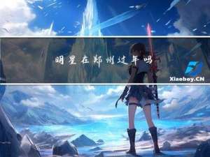 明星在郑州过年吗